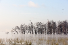 parc de Nakuru / Nakuru national park