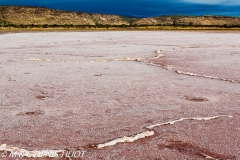 lac Magadi / lake Magadi