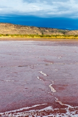 lac Magadi / lake Magadi