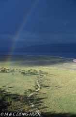 lac Nakuru / lake Nakuru