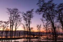 parc de Nakuru / Nakuru national park