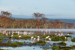 parc de Nakuru / Nakuru national park
