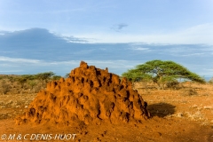 réserve de Samburu / Samburu game reserve