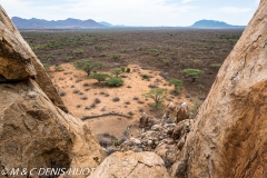 réserve de Shaba / Shaba game reserve