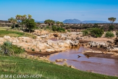 réserve de Shaba / Shaba game reserve