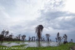 lac Naivasha / lake Naivasha