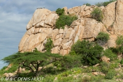 réserve de Shaba / Shaba game reserve