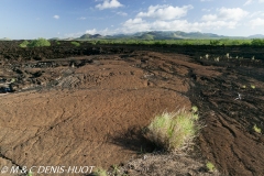 Parc National de Tsavo Ouest / Tsavo West national park