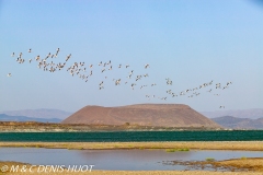 lac Logipi / lake Logipi