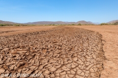 Nord Kenya / North Kenya