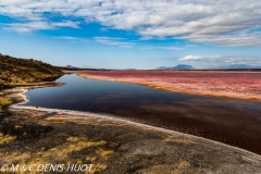 lac Magadi / lake Magadi