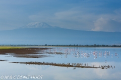 parc national d'Amboseli / Amboseli national park