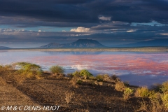 lac Magadi / lake Magadi