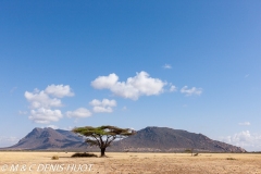 réserve de Shaba / Shaba game reserve
