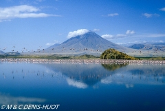 Lac Natron / lake Natron