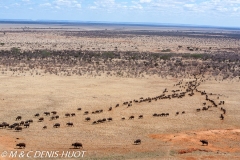 parc national de Tsavo / Tsavo national park