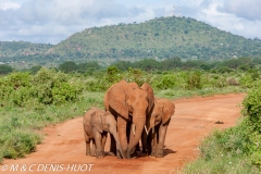 parc national de Tsavo / Tsavo national park