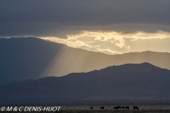 parc national de Tsavo / Tsavo national park