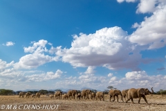 réserve de Samburu / Samburu game reserve