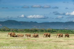 réserve de Samburu / Samburu game reserve