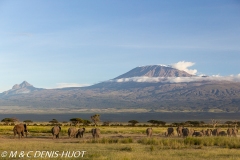 parc national d'Amboseli / Amboseli national park