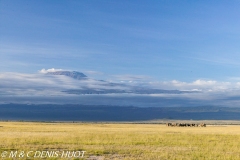 parc national d'Amboseli / Amboseli national park