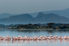 lac Elmenteita / lake Elmenteita