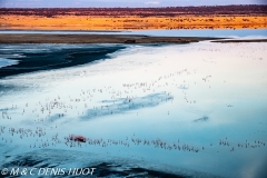 lac Magadi / lake Magadi