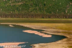 parc de Nakuru / Nakuru national park