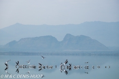 lac Elmenteita / lake Elmenteita