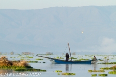 lac Naivasha / lake Naivasha