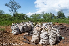 lac Bogoria / lake Bogoria