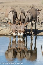 lac Magadi / lake Magadi