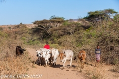 Samburu