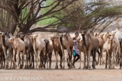 désert de Chalbi / Chalbi desert