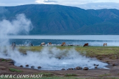 lac Bogoria / lake Bogoria