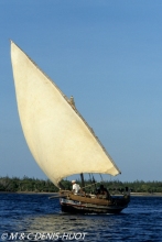 Lamu