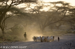 Samburu