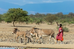 lac Magadi / lake Magadi