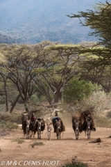 Samburu