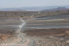 lac Turkana / lake Turkana