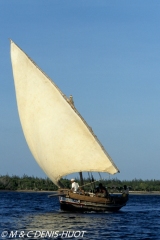 Lamu