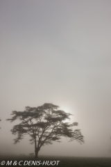 lac Nakuru / lake Nakuru