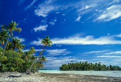 île de Rangiroa / Rangiroa island