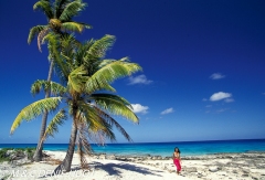 île de Rangiroa / Rangiroa island