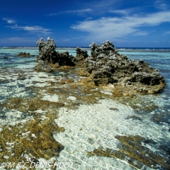 île de Rangiroa / Rangiroa island