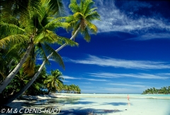 île de Rangiroa / Rangiroa island