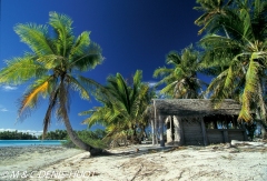 île de Rangiroa / Rangiroa island