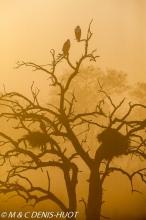 Kruger National park