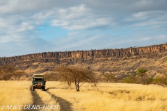 safari avec MDH